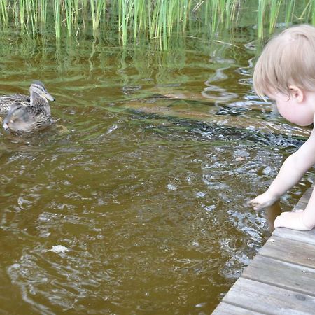 Moekki Etelaeranta Villa Mikkeli Esterno foto