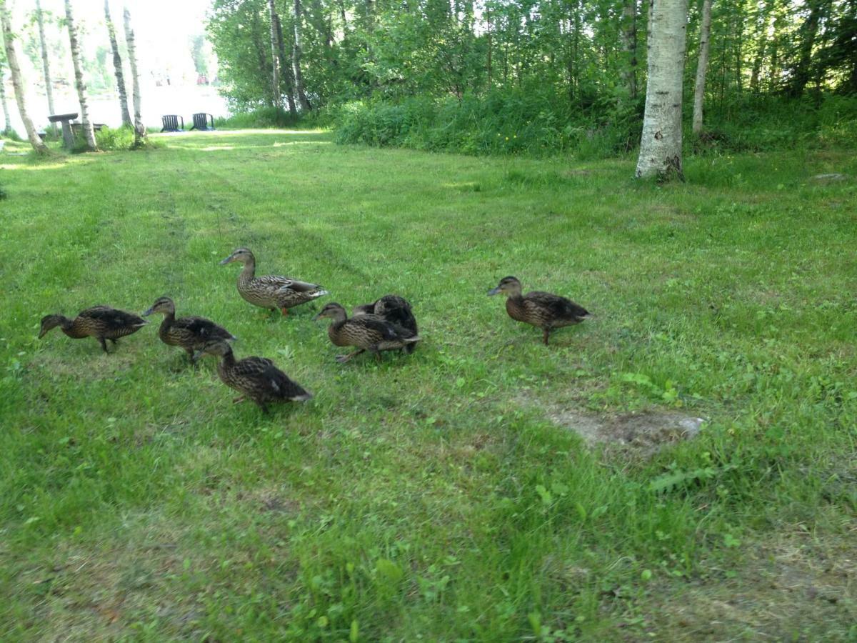 Moekki Etelaeranta Villa Mikkeli Esterno foto