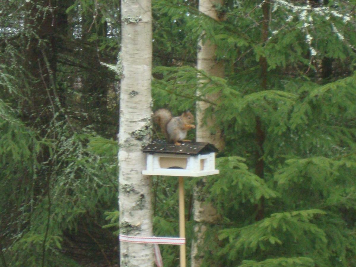 Moekki Etelaeranta Villa Mikkeli Esterno foto